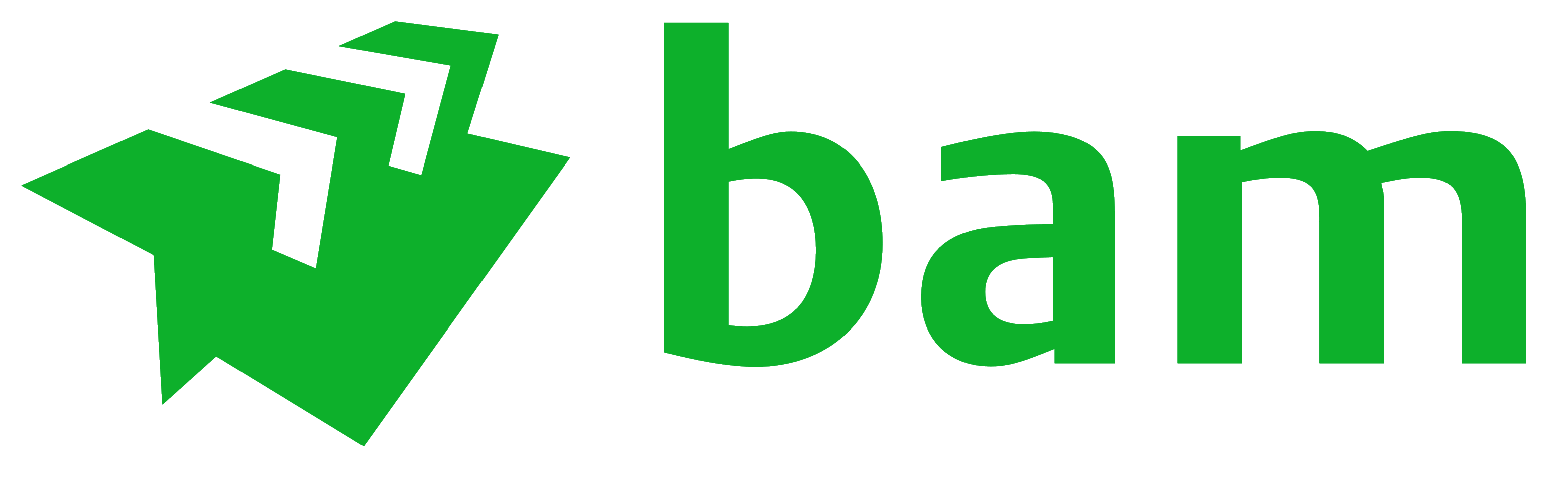 Royal BAM